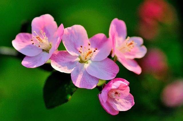 一个男人是真的爱上你了，才会有这三种反应，错不了