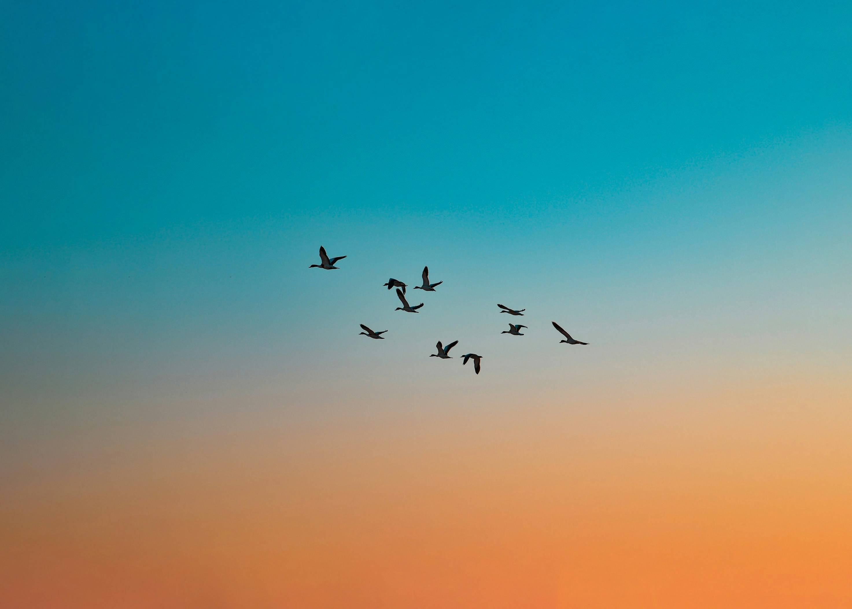 生物素摄入与心理健康：男性需更高水平以抗焦虑抑郁！