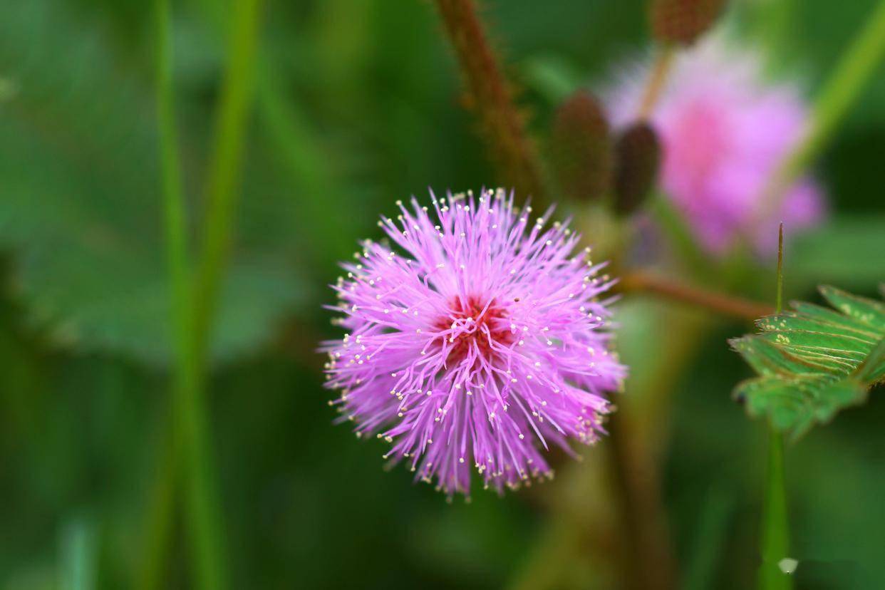 原创            男人越是对你有感觉，越会有这样的表现，很真实