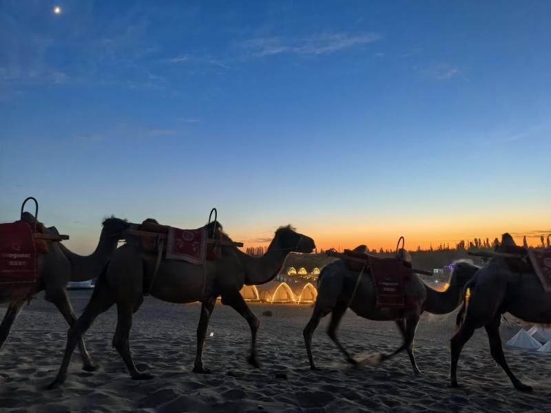 甘肃竹编体验全攻略：哪里能找到师傅亲手教学？这份本地指南请收好！