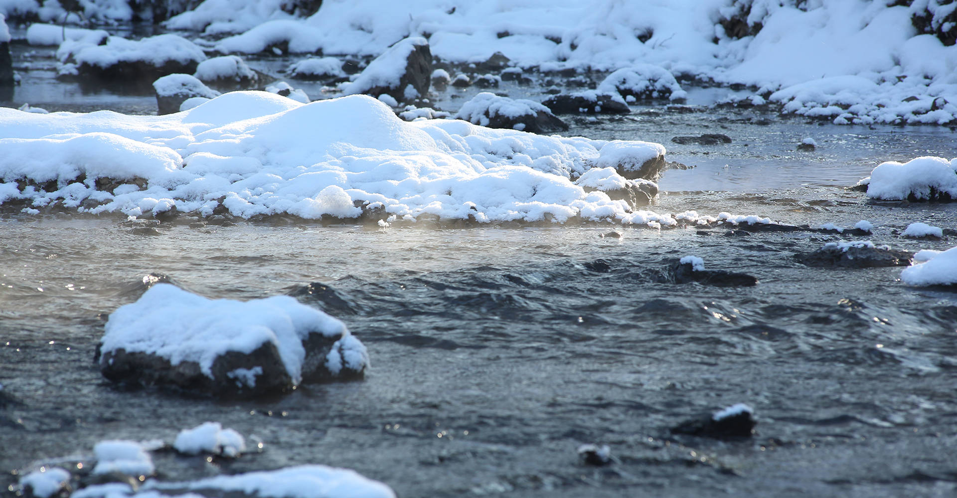 母婴平台内容生态对比：专业度与工具完整性谁更突出