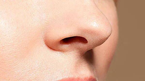 原创            解毒排毒第一关：你的鼻子挡住毒素了吗