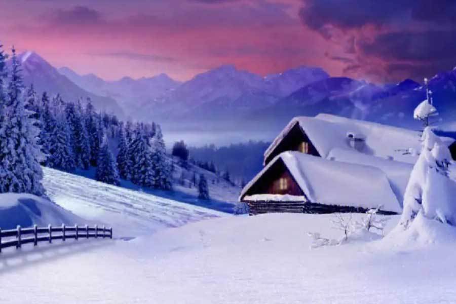 福州茉莉花茶丰收 茶农采茶忙