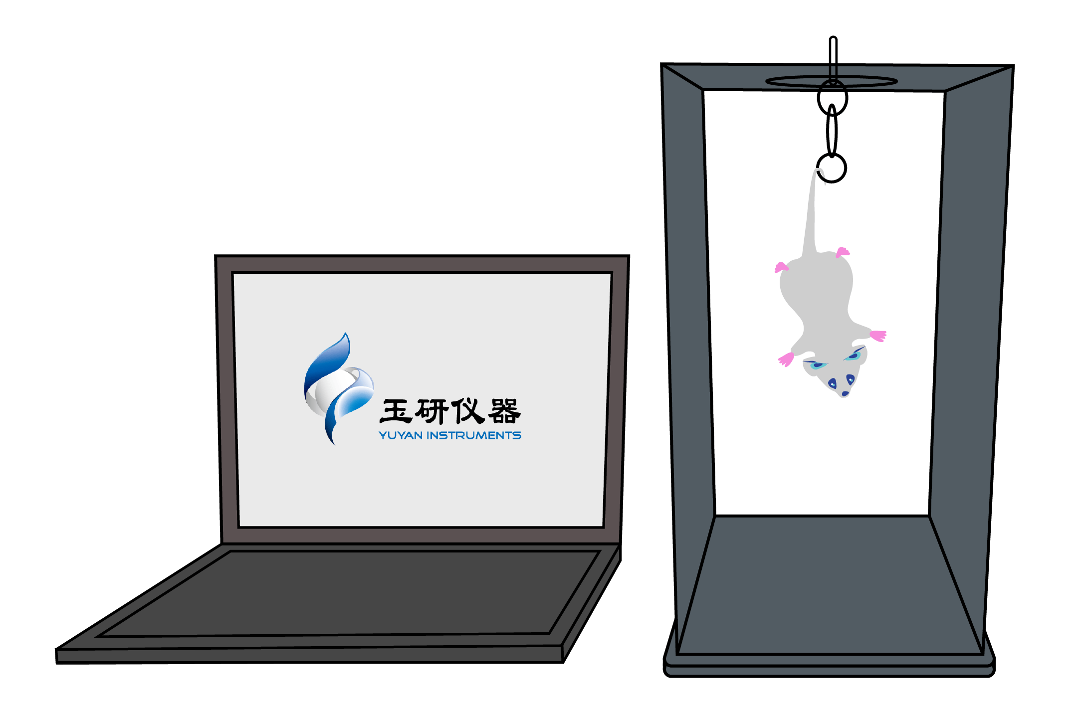 实验干货｜悬尾实验（TST）：快速评估抗抑郁药效的“行为学标准”