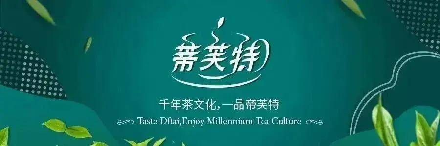 茶香氤氲暖冬日，凝心聚力共前行