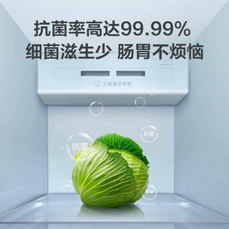 拯救厨房空间的艺术品：TCL620L对开门冰箱深度体验