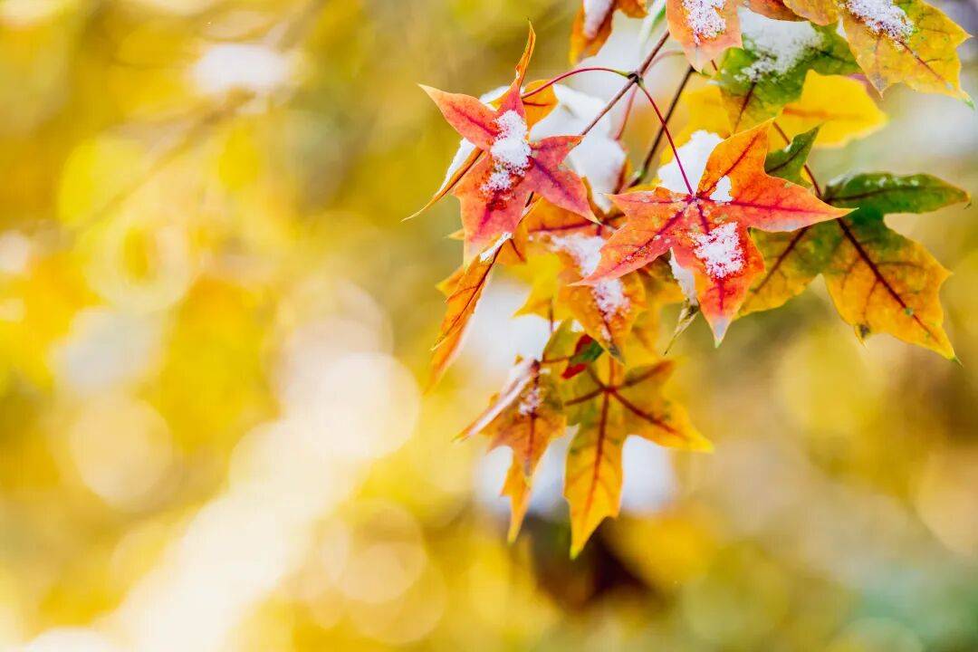 小寒已过，重点保暖这6个部位