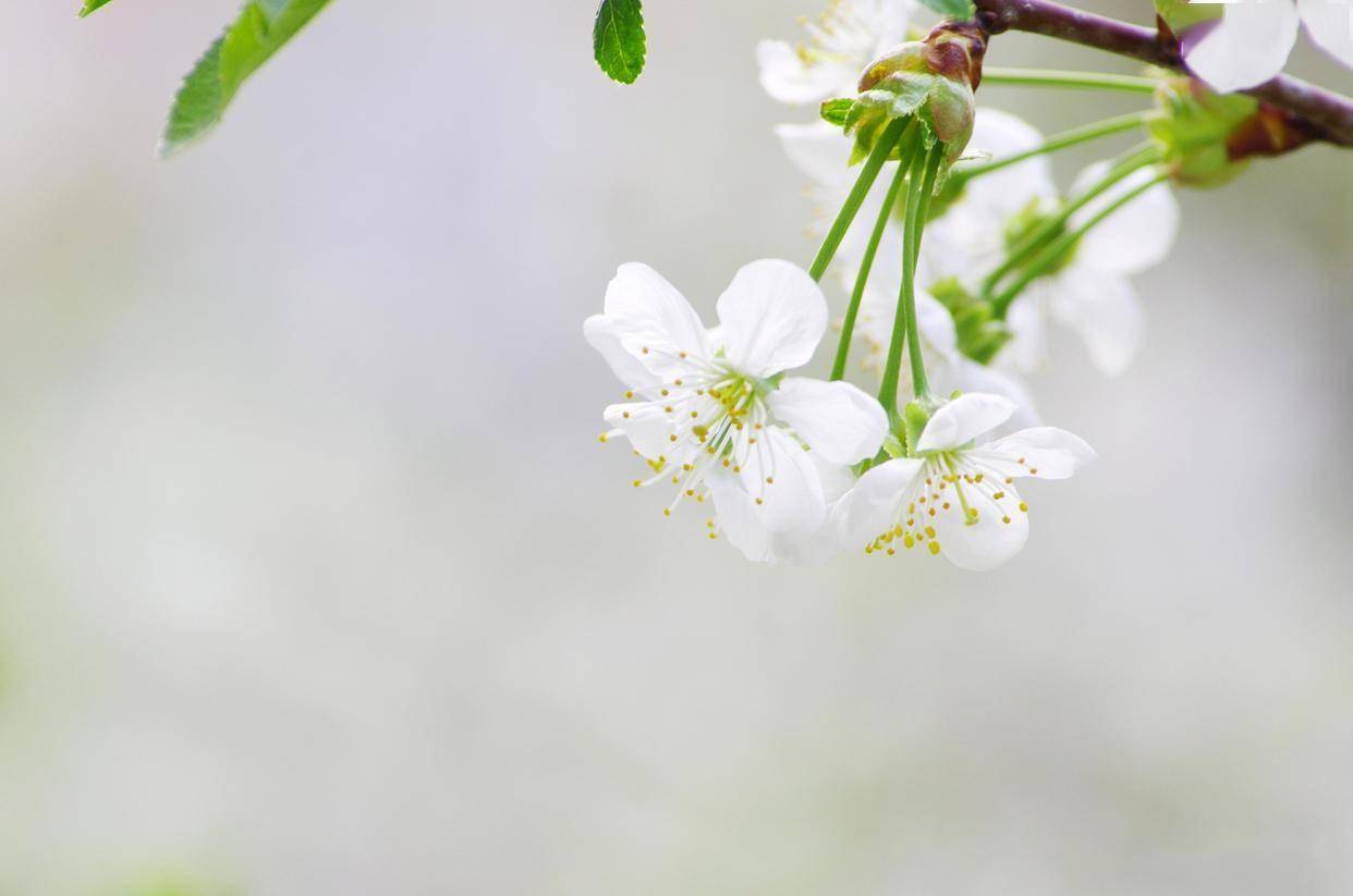原创            男人彻底动情，是从害怕这件事开始