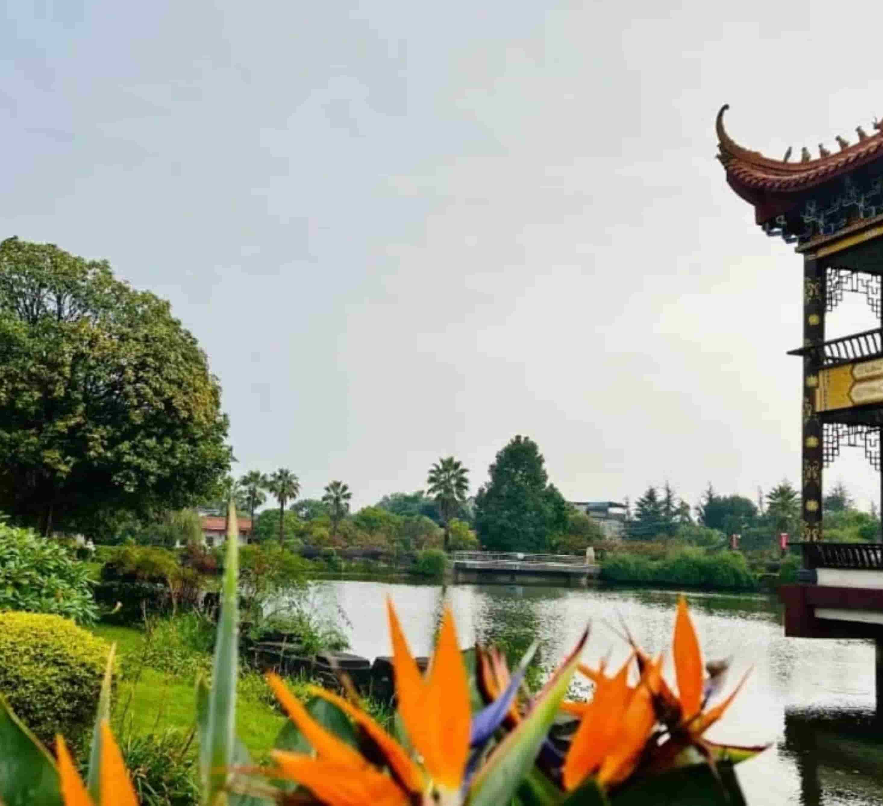 红枫艺术陵园公墓价格详解，购买全攻略