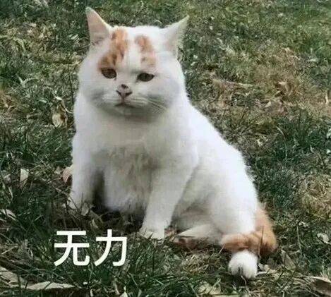 “长辈的艺术照能有多离谱...？”哈哈哈笑得让人怀疑人生！