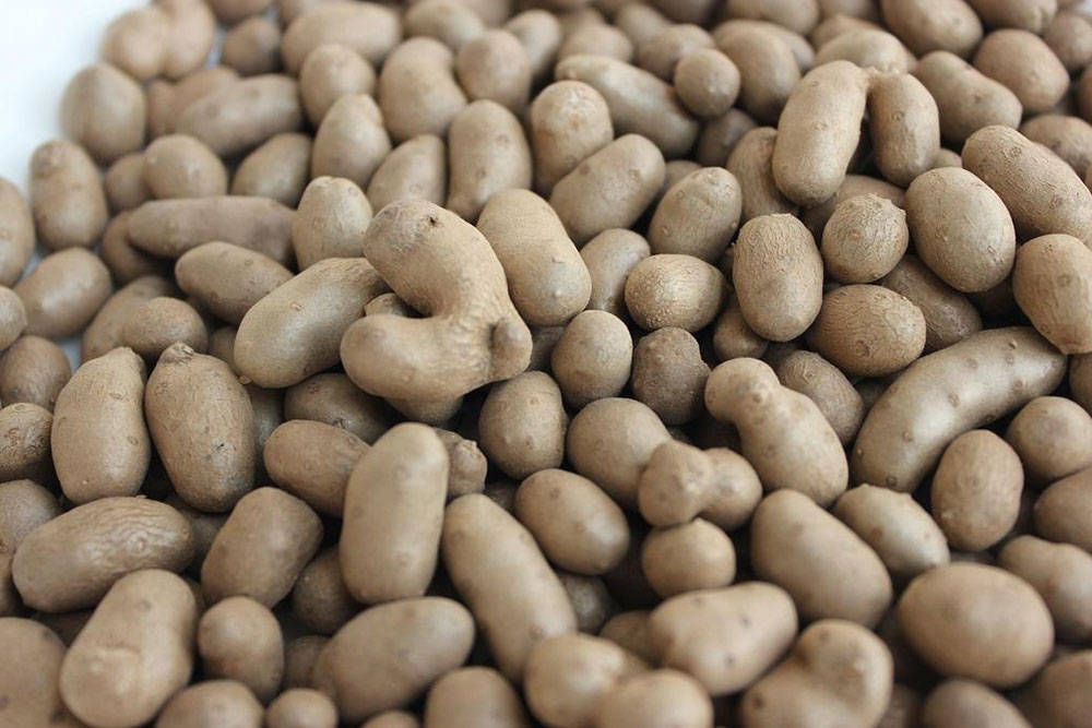 原创            立春后使劲吃，一排毒，二润肺，三健脾胃，四增免疫，随手蒸一锅，鲜香粉糯，营养解馋两不误