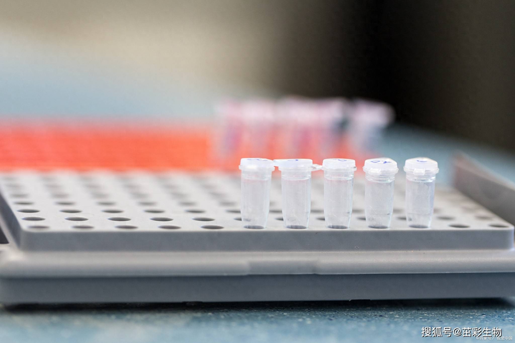 糖尿病早期风险预测指标|茁彩生物