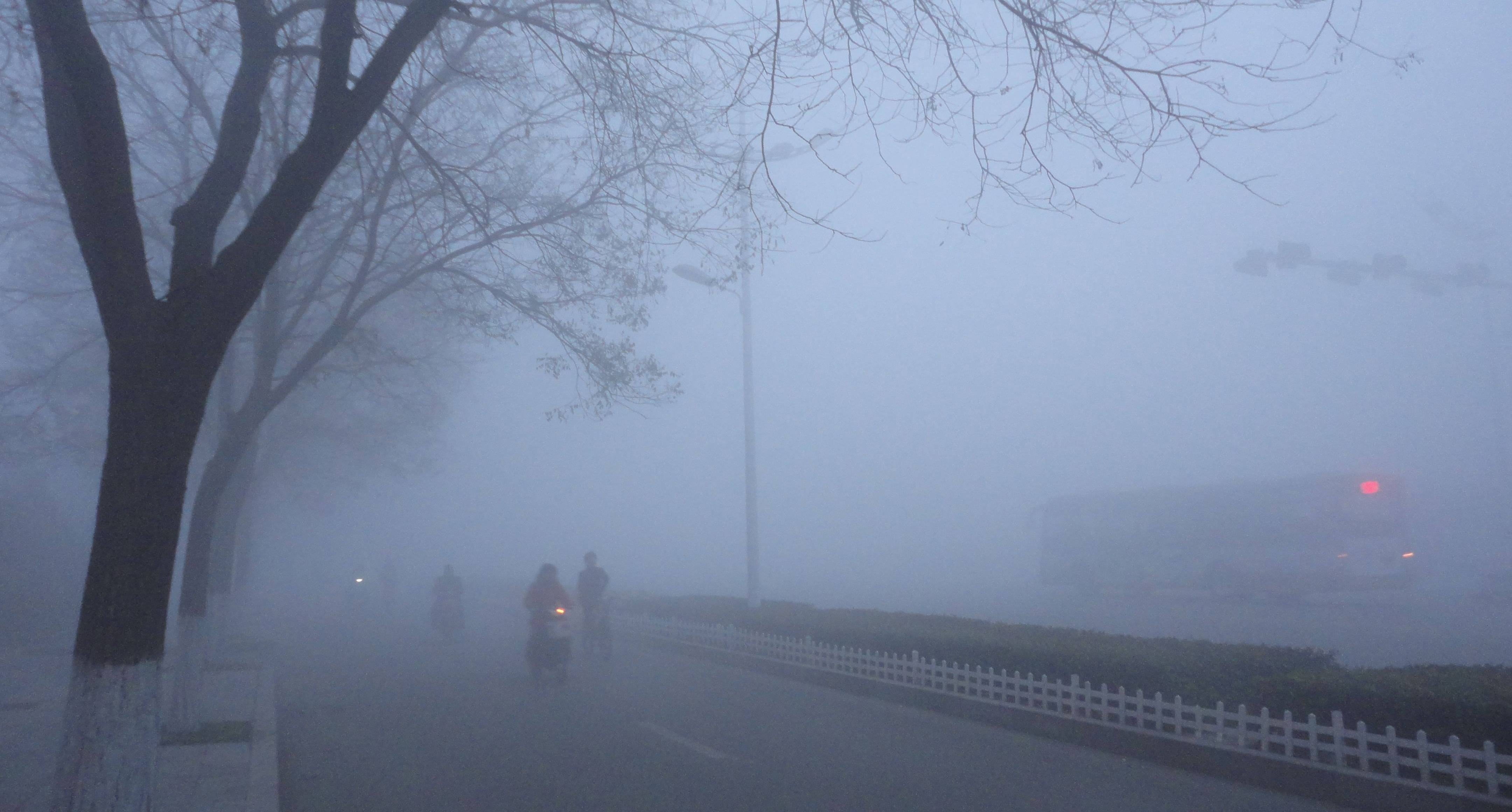 沈阳雾霾天易诱发过敏性哮喘？这样应对更安心