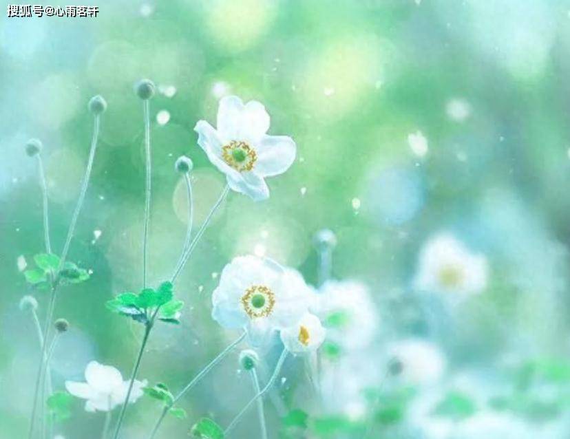 原创            从职场到家庭，双相患者的社会功能修复实战指南。