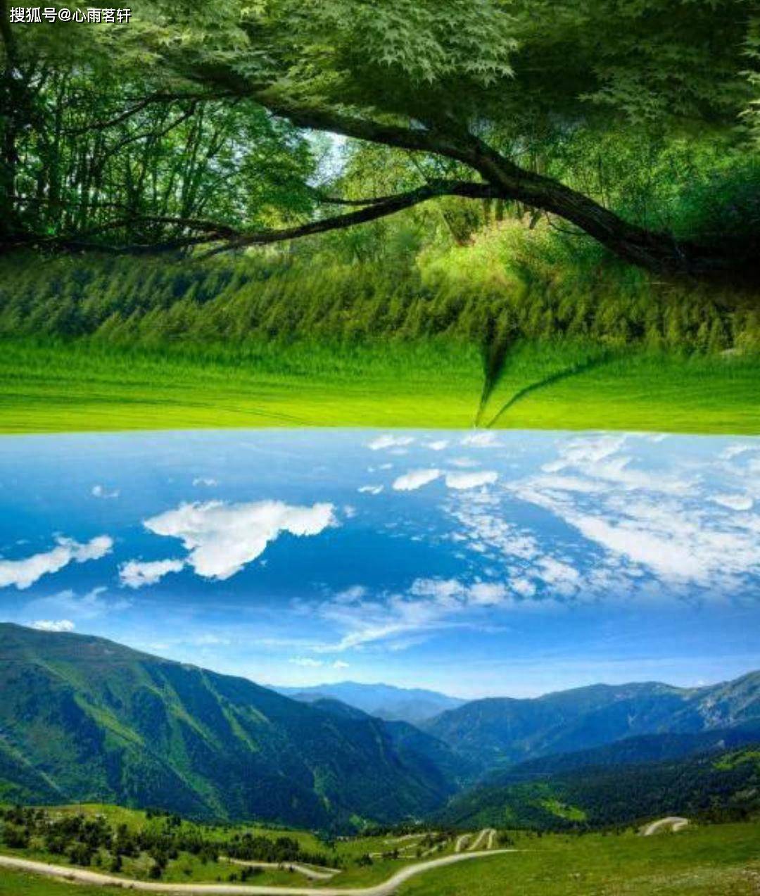 原创            抑郁的自救指南：从药物依赖到心理重塑的三个关键突破点。