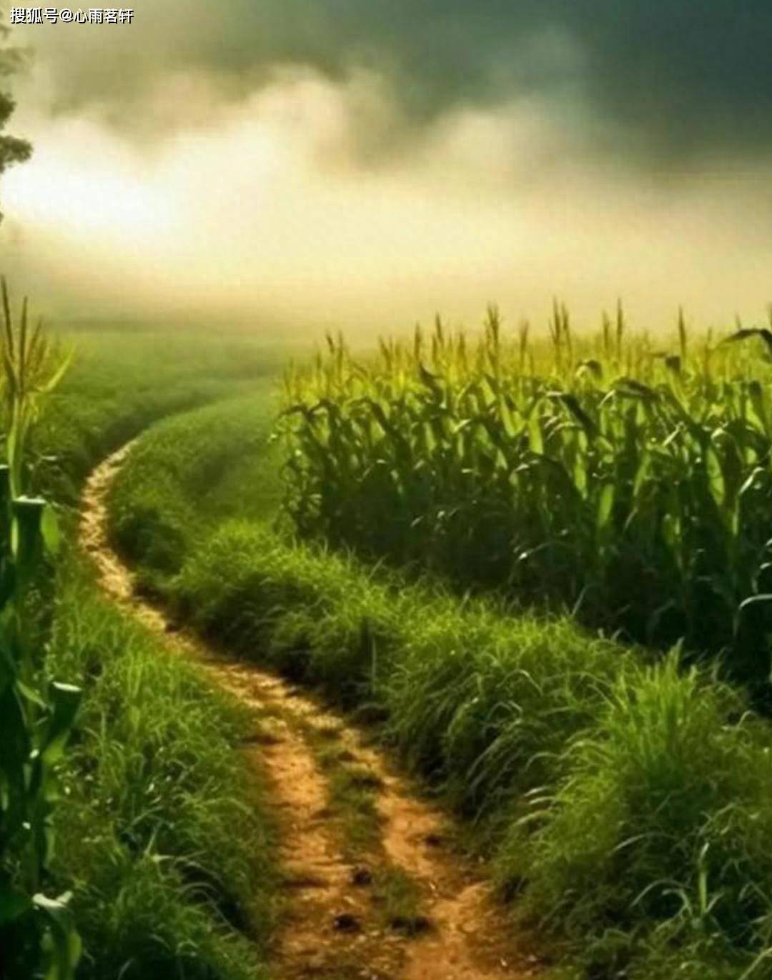 原创            我没有理由焦虑，但就是控制不住：那些导致焦虑的隐形压力源。