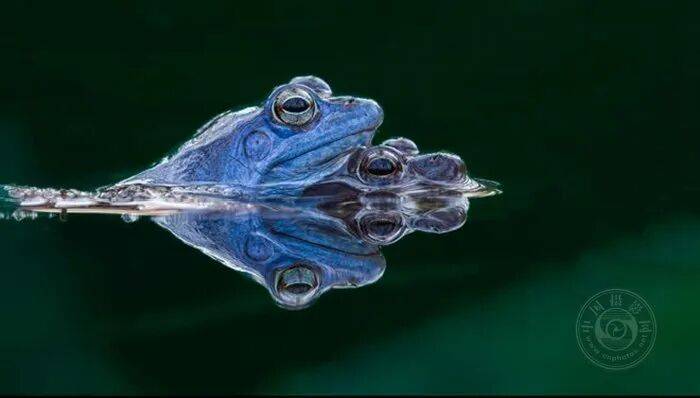 揭晓 | 2025年芬兰第2届光之艺术国际摄影大赛（自然组）获奖公布