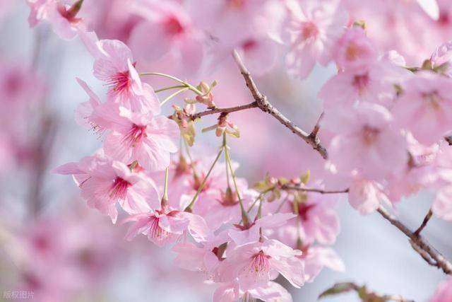 忽视男人的以下需求，夫妻感情会越来越差