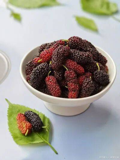 十大寒性水果排行榜，快来看看你爱吃哪个！