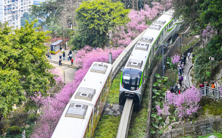 重庆：“开往春天的列车”如约而至