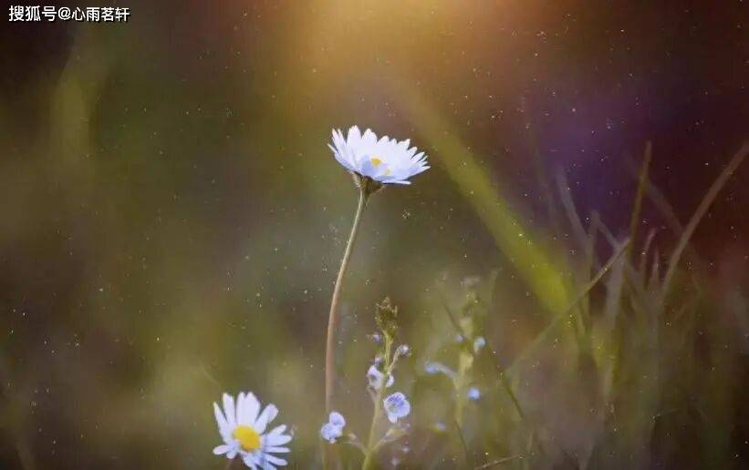 原创            抑郁康复后，我是如何预防复发的—7年实战经验分享！