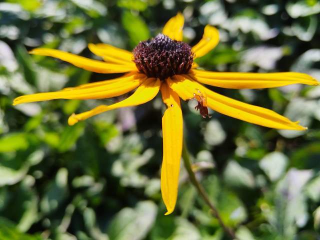 原创            破解3分钟热度，想一出是一出的青春期孩子，家长反向思维很关键