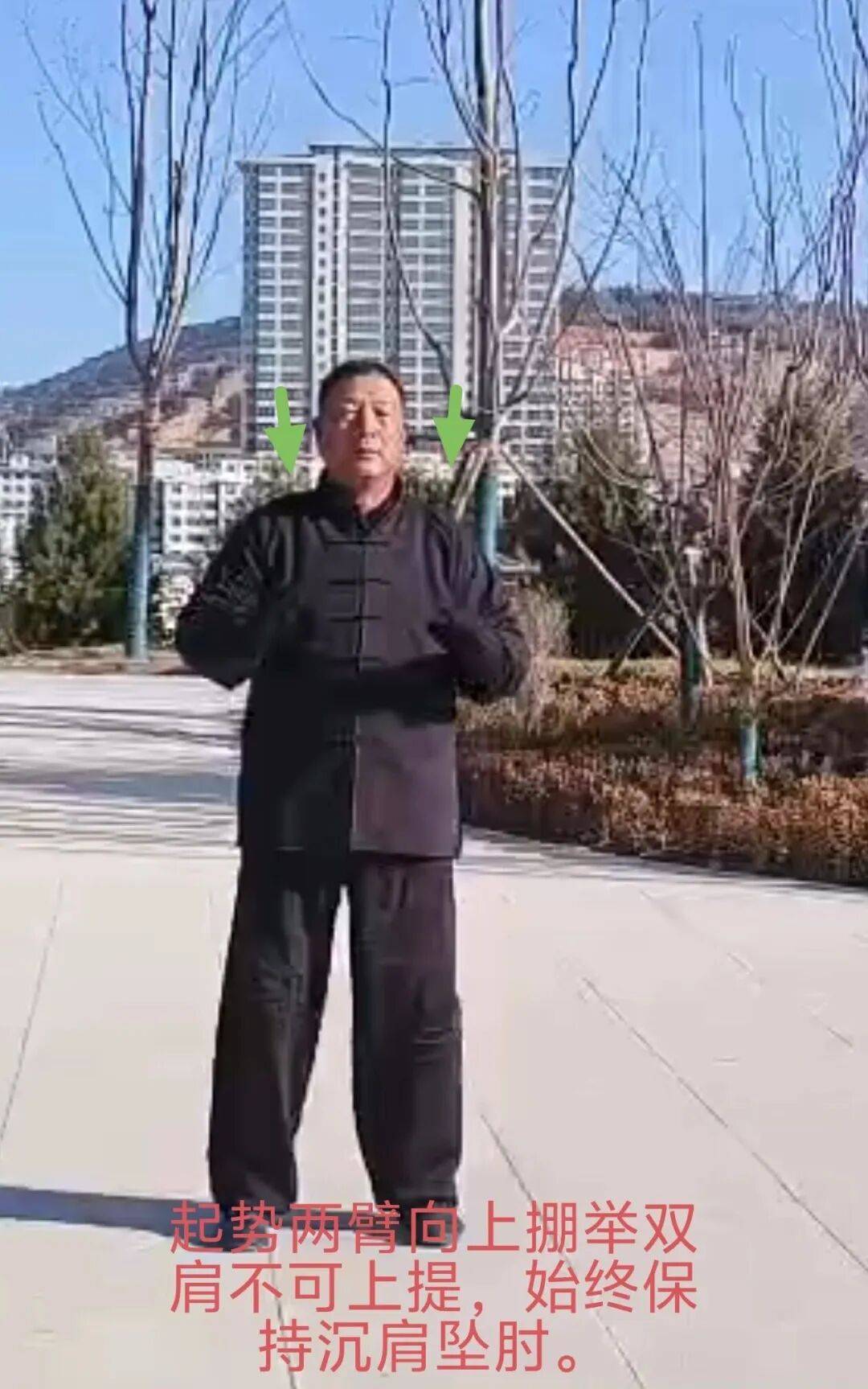 [每周点评]（7）翟克鸿杨氏85拳起势接左掤图解