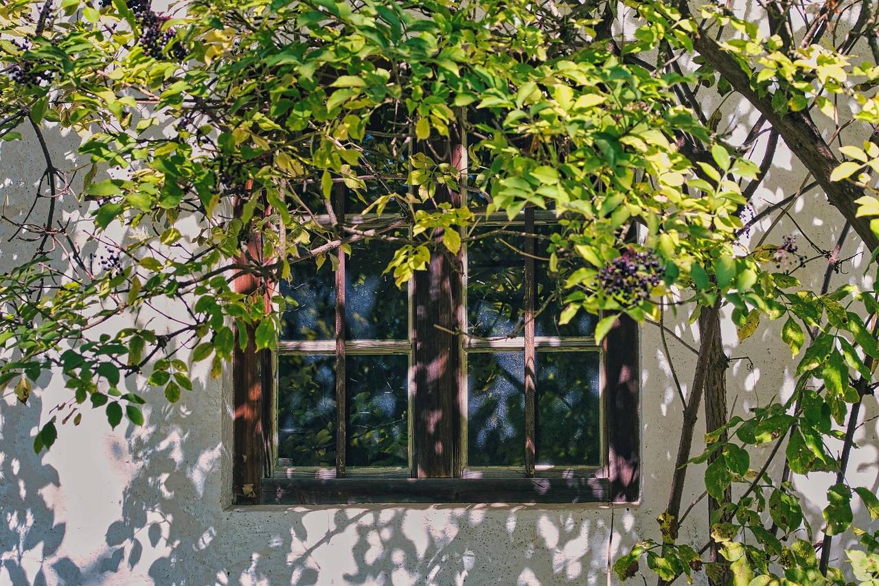 「做任何事之前一定不能告诉任何人」这种观点为何流行？其心理学依据是什么？