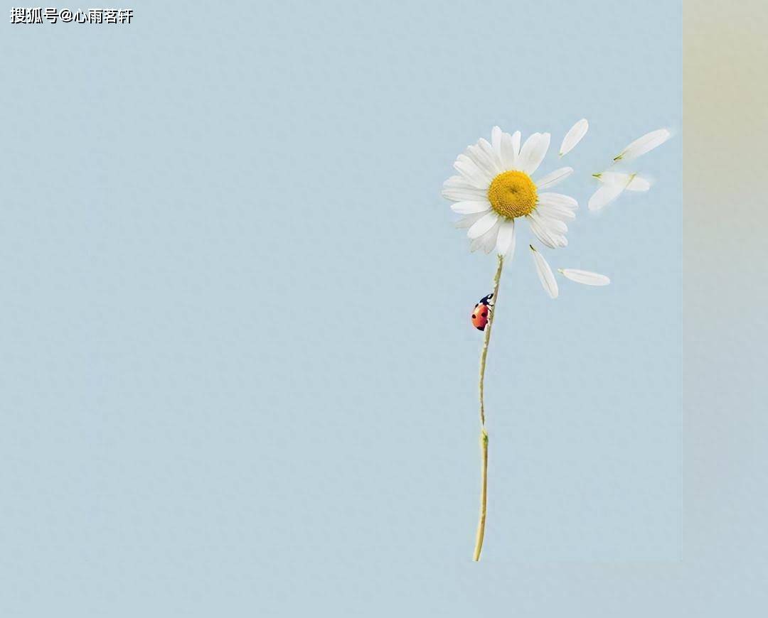 原创            打败抑郁黑狗的持久战：8个让抑郁不再复发的科学习惯