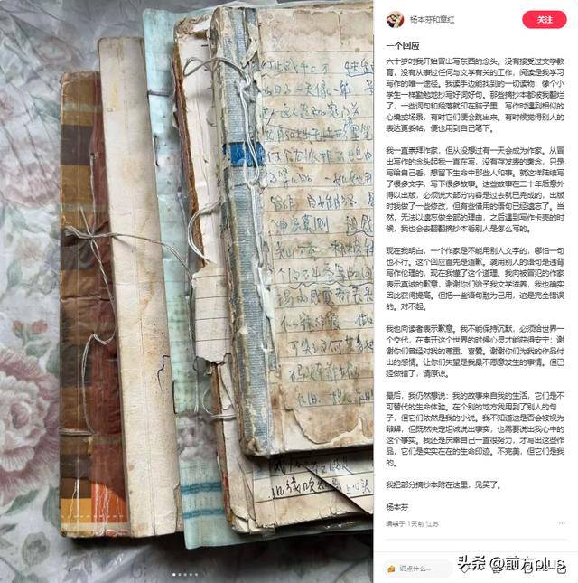 作家杨本芬，承认抄袭