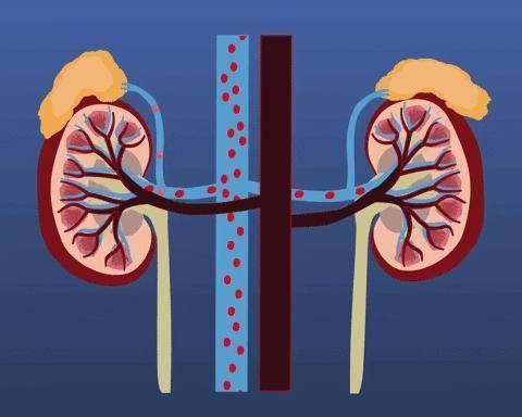 吃多了伤肾！这种食物→