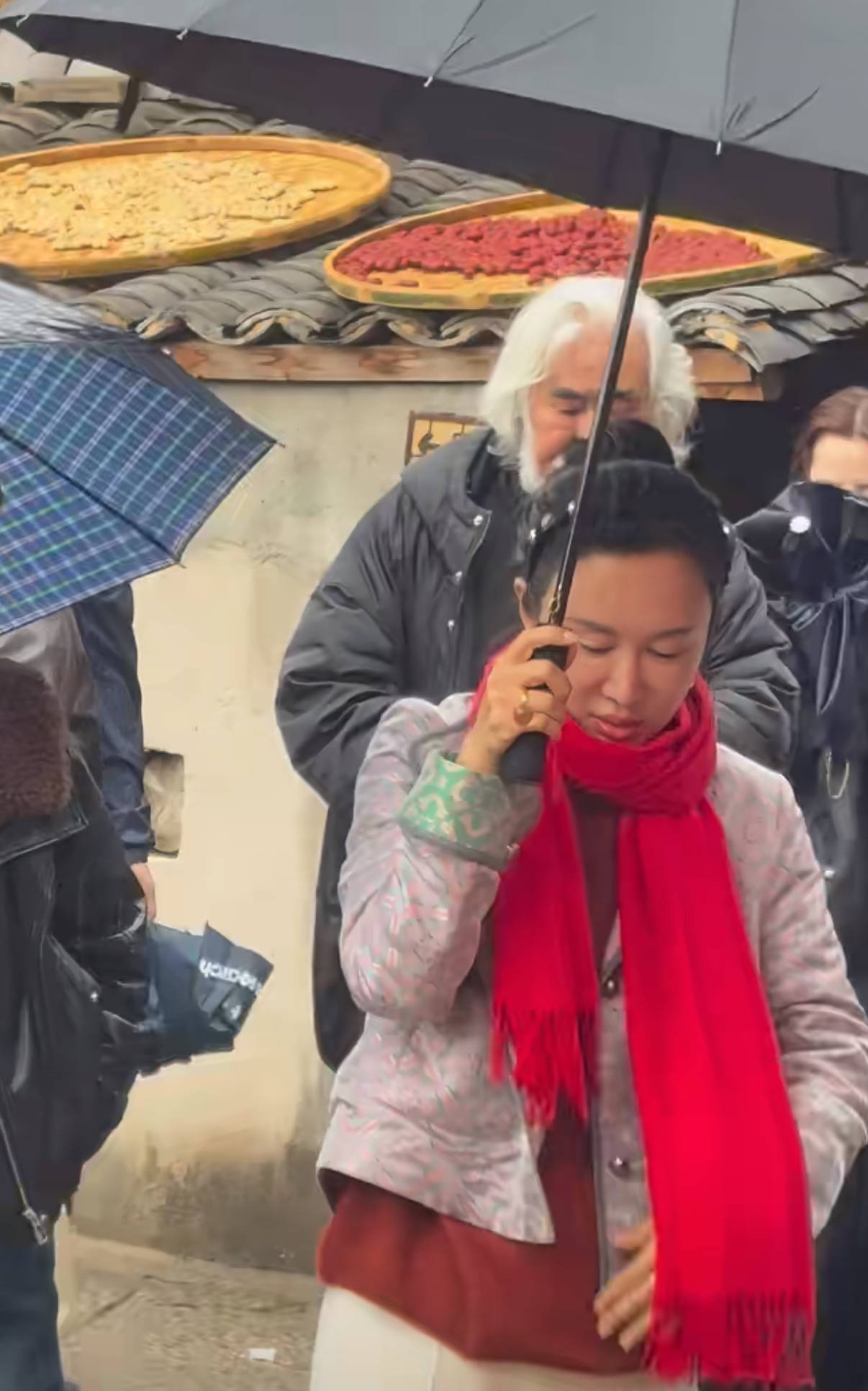 原创            74岁张纪中力不从心，陪娇妻游玩被助理搀扶，俩人前后相隔2米远