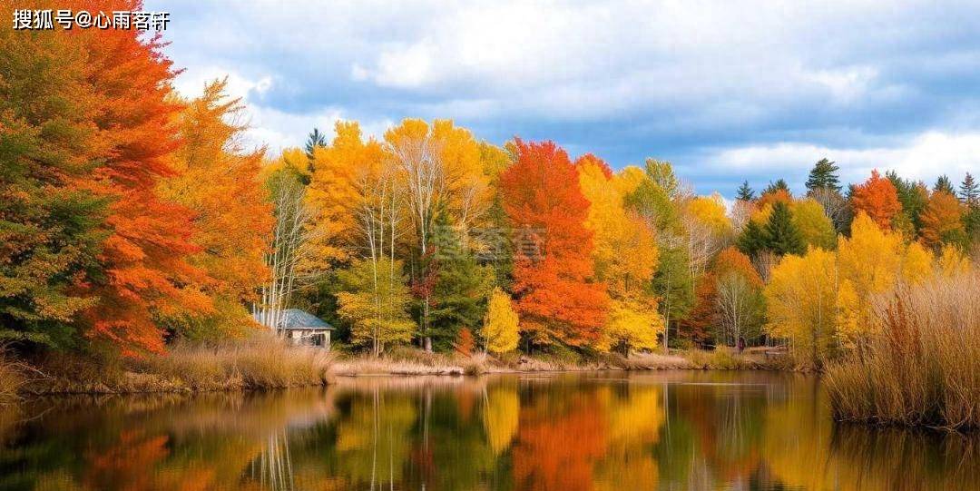 原创            20年患者亲述：我的双相障碍为什么没有变得更糟？