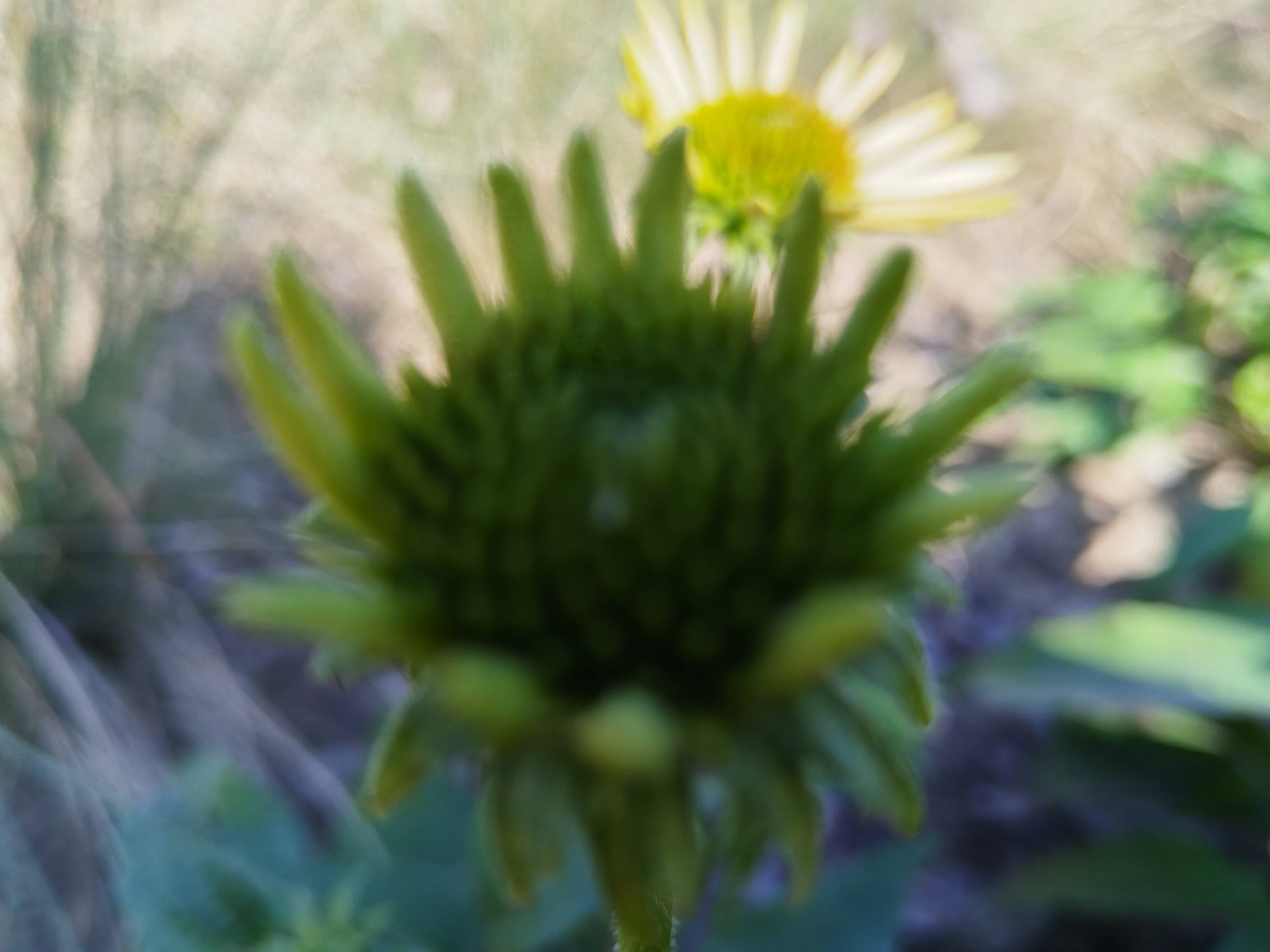 原创            家长的松弛感，才是推动孩子内驱力和进步，并滋养孩子的最好方式