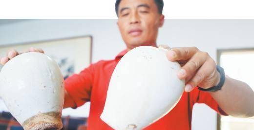 原创            山东淄川发现北宋怪墓，除大量文物外，小小墓穴居然藏着7具人骨