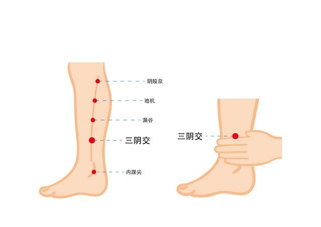 雨水节气养生指南：健脾祛湿，艾灸三阴交正当时