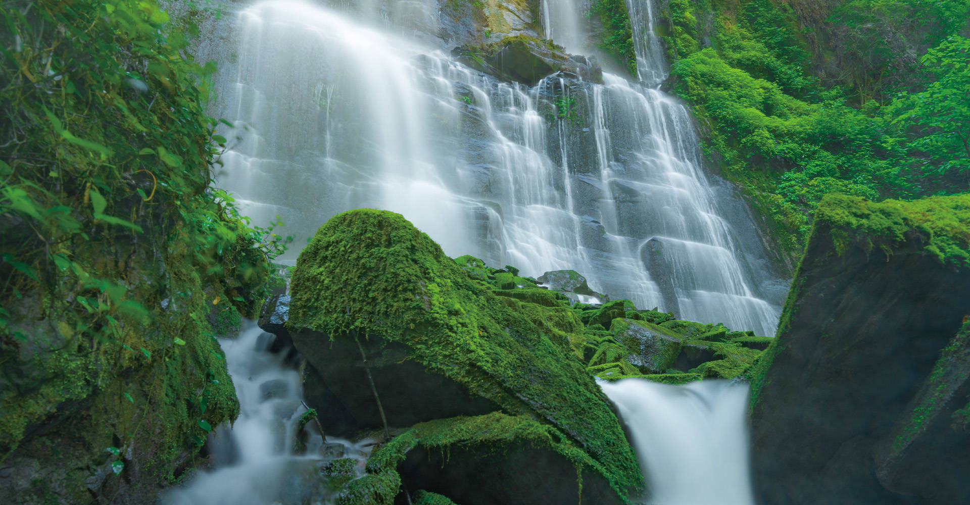 母婴平台轻资产运营优势：灵活性与可持续性如何体现？