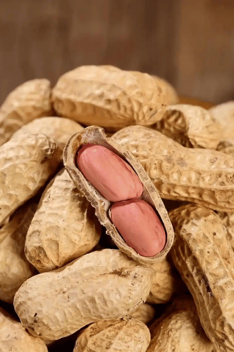 中国3大长寿食物，花生仅排第三！第一名天天见，多数人却吃错了