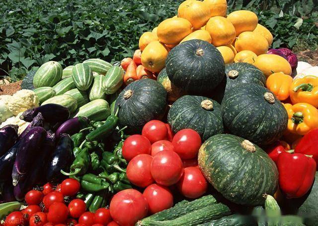 1养肝，2排毒，3增免疫，春节后多吃，润肠通便去油腻，别错过