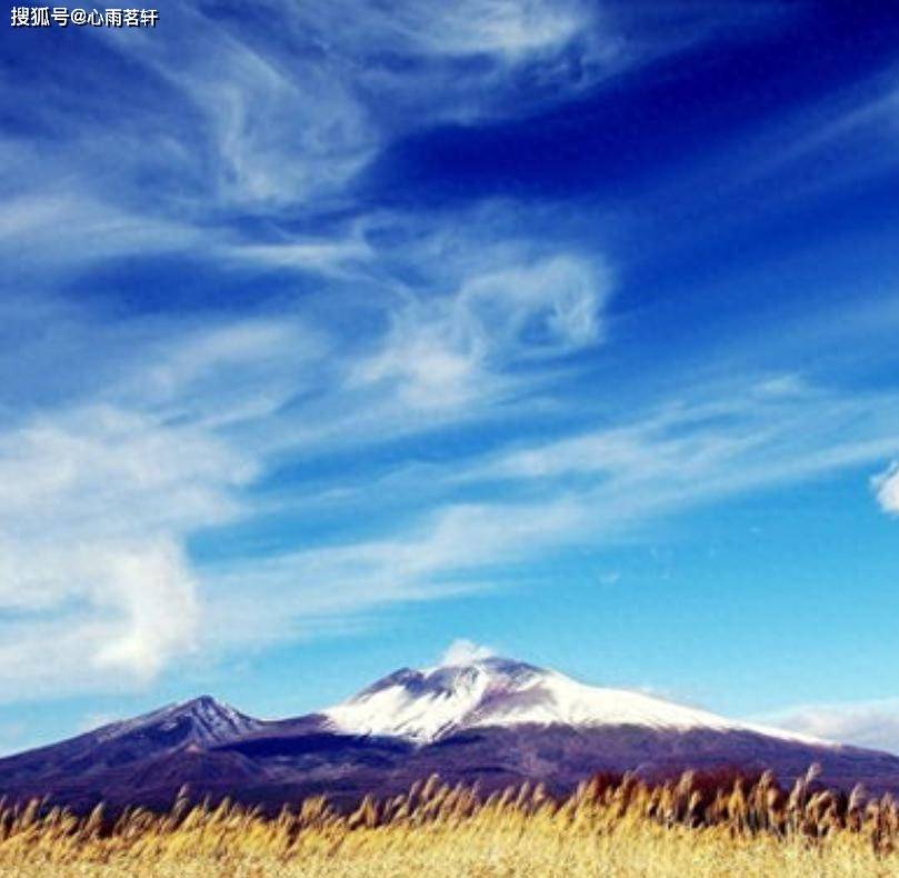 原创            情绪稳定了，思维却变慢了！双相认知康复的5个关键策略。