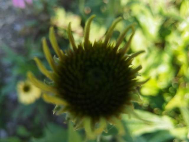 原创            高三了，与其焦虑着急催孩子学习，不如向外寻求和解与安全感