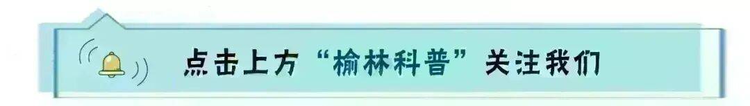 改写自闭症治疗困境！我国科研团队Nature发文，证实脑内精准基因编辑可行性
