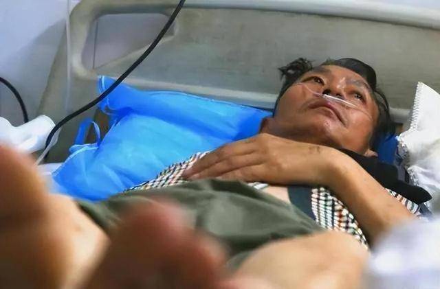 哈佛研究：西兰花可在72小时内杀死80%的癌细胞，真相还是噱头