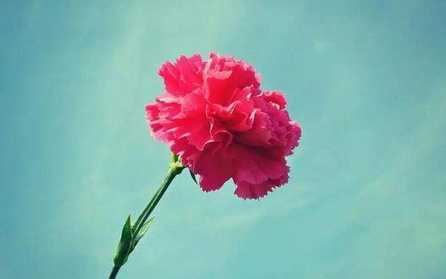 男人有以下三个表现，就是说明他不爱你，心里没你