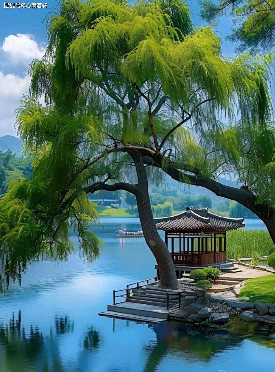 原创            双相从确诊到稳定，过来人分享情绪稳定剂选择的真实经验。