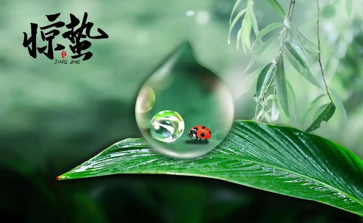 原创            惊蛰后，少吃韭菜黄瓜，多吃3种“黄金菜”，健脾祛湿养肝气，增强抵抗力，健康过春天