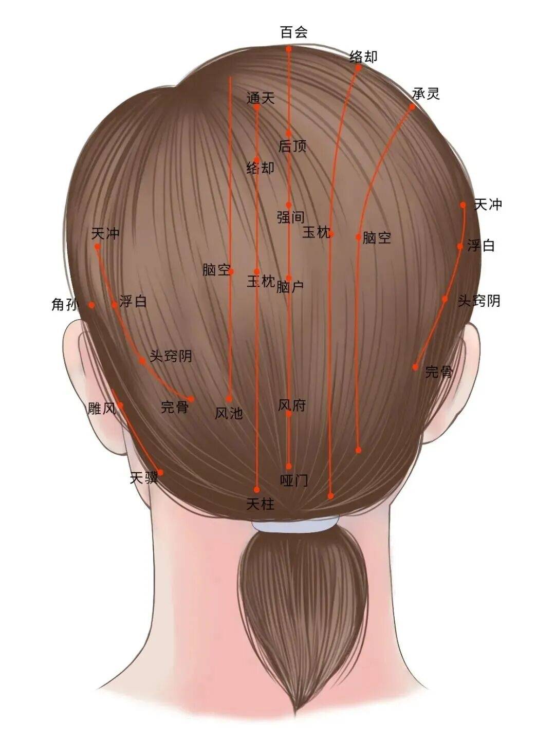 惊蛰节气“外寒束春阳”！做好这3点，不犯困、少上火！