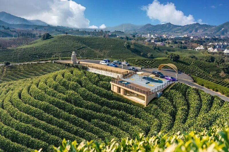 【茶旅大会】安吉茶旅线路，抢先看！