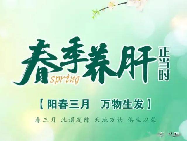 春季养肝正当时，中老年人吃4种“青色菜”，疏肝理气，身体安康
