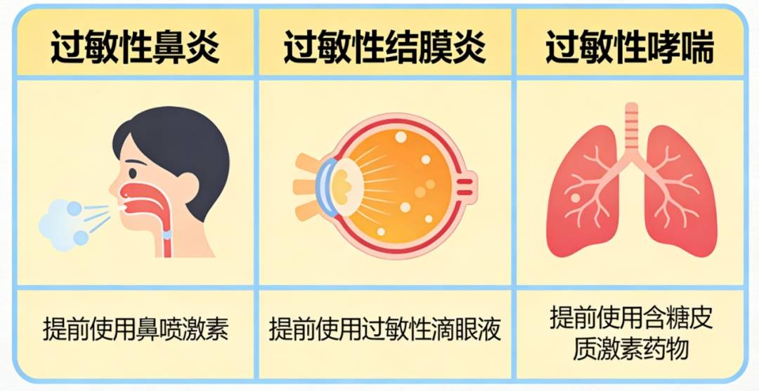 花粉季马上进入高发期！抗过敏药别乱吃，这几种人要特别注意→